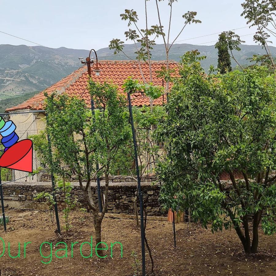 Garden Guest House Përmet المظهر الخارجي الصورة