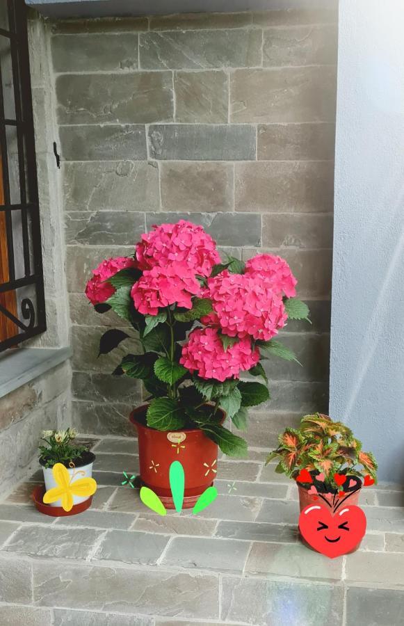 Garden Guest House Përmet المظهر الخارجي الصورة