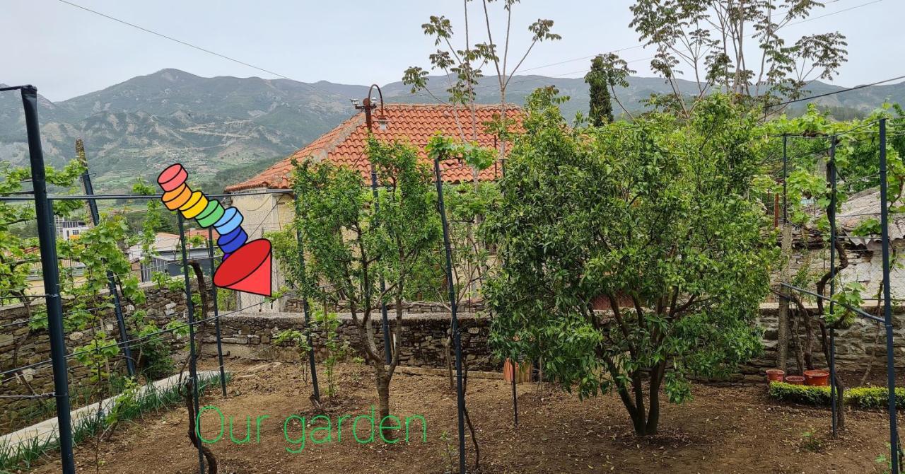 Garden Guest House Përmet المظهر الخارجي الصورة