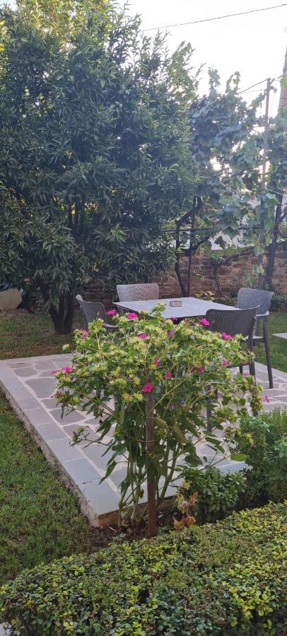 Garden Guest House Përmet المظهر الخارجي الصورة