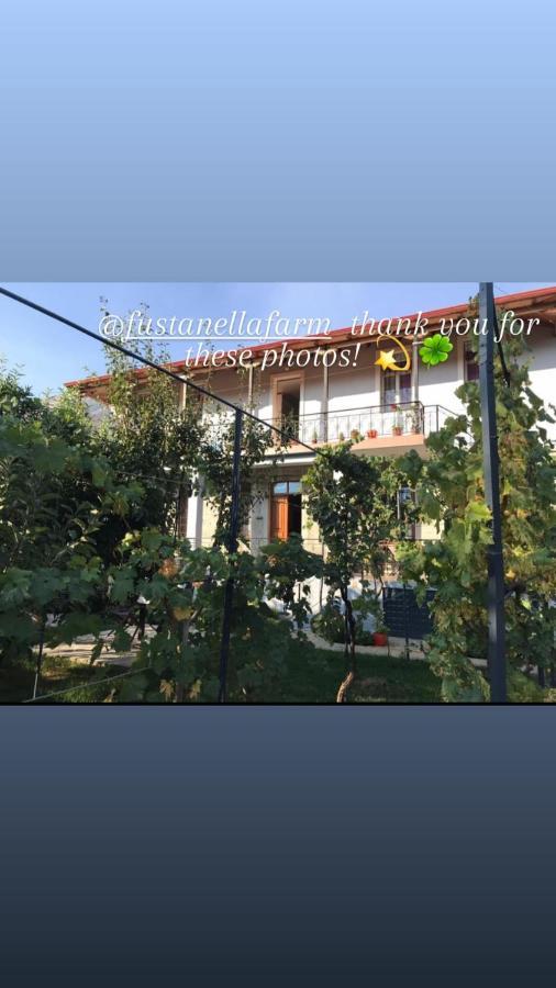Garden Guest House Përmet المظهر الخارجي الصورة