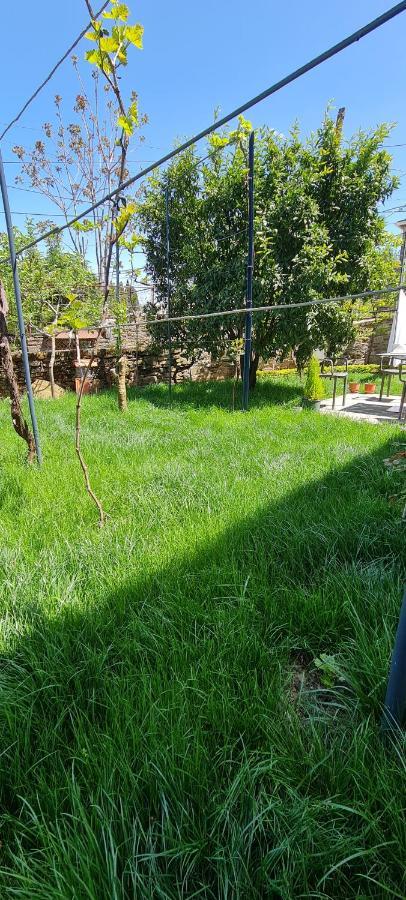Garden Guest House Përmet المظهر الخارجي الصورة