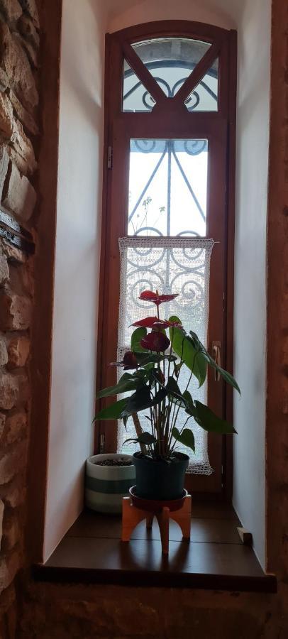 Garden Guest House Përmet المظهر الخارجي الصورة