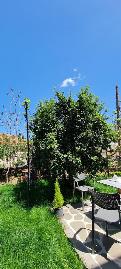 Garden Guest House Përmet المظهر الخارجي الصورة