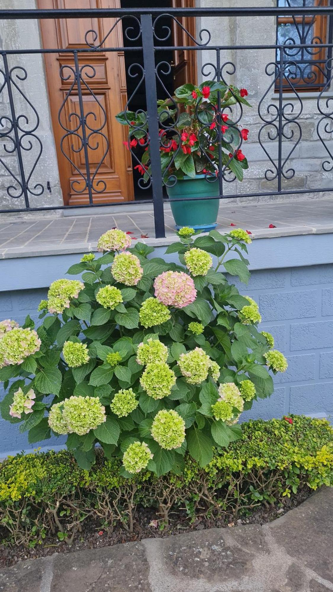 Garden Guest House Përmet المظهر الخارجي الصورة
